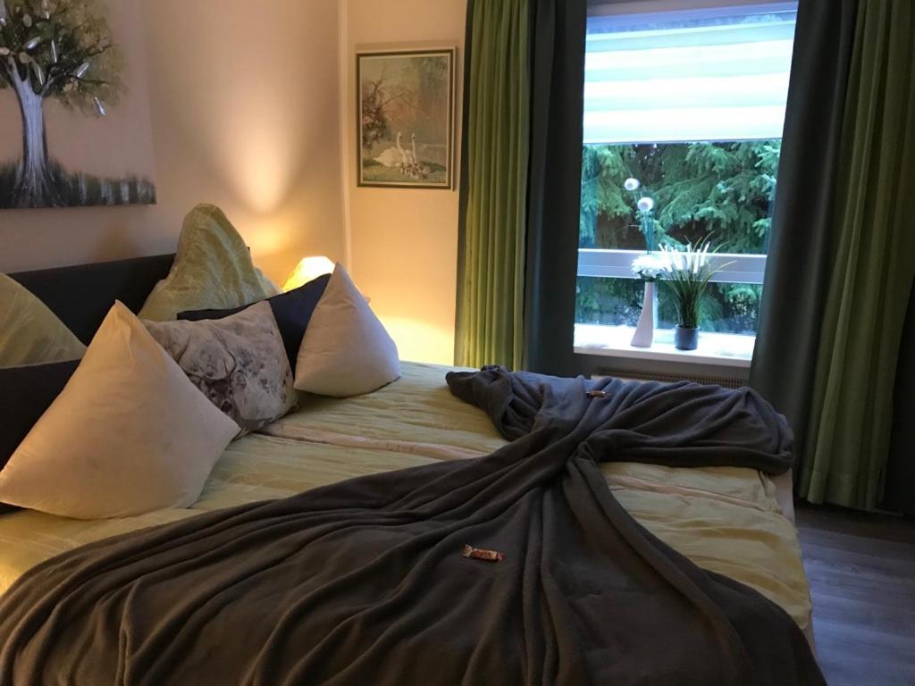 Apartmán Wurmbergtraum Celina In Braunlage 4 Sterne Zertifiziert Vom Dtv Inklusive Waeschepakete Exteriér fotografie